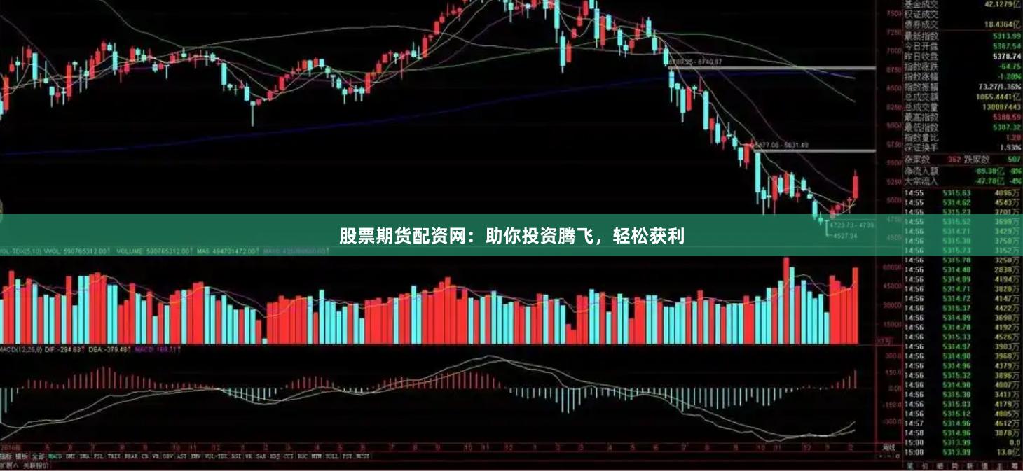 股票期货配资网：助你投资腾飞，轻松获利