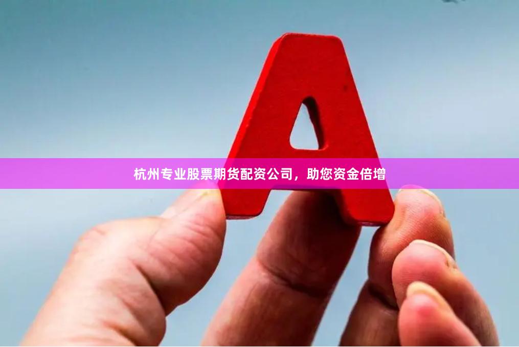 杭州专业股票期货配资公司，助您资金倍增