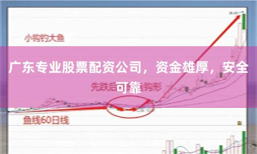 广东专业股票配资公司，资金雄厚，安全可靠