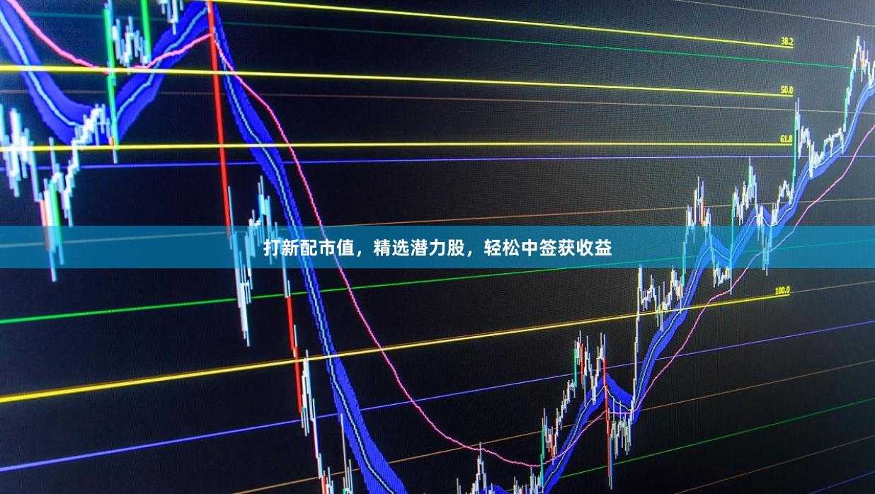 打新配市值，精选潜力股，轻松中签获收益
