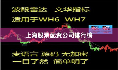 上海股票配资公司排行榜